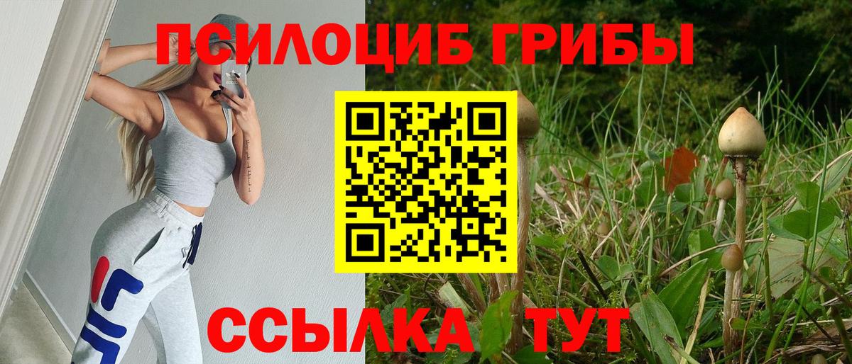 Галлюциногенные грибы Psilocybine cubensis  Псилоцибиновые грибы Psilocybine cubensis  Сунжа  Вход с VPN 